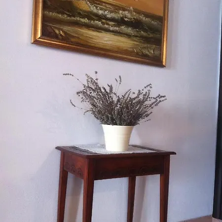 Apartment-rooms Preka Palit